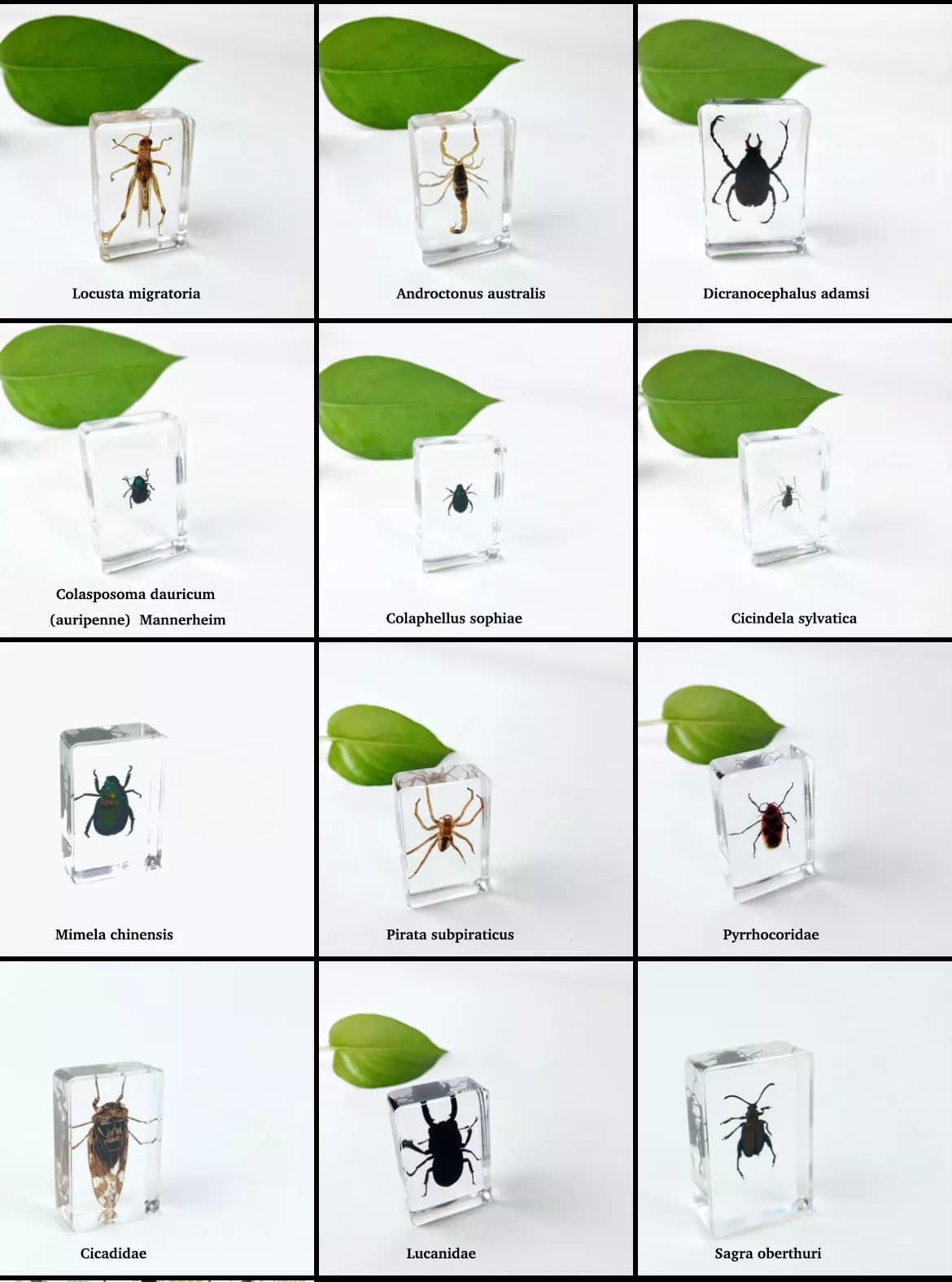 Product image 11