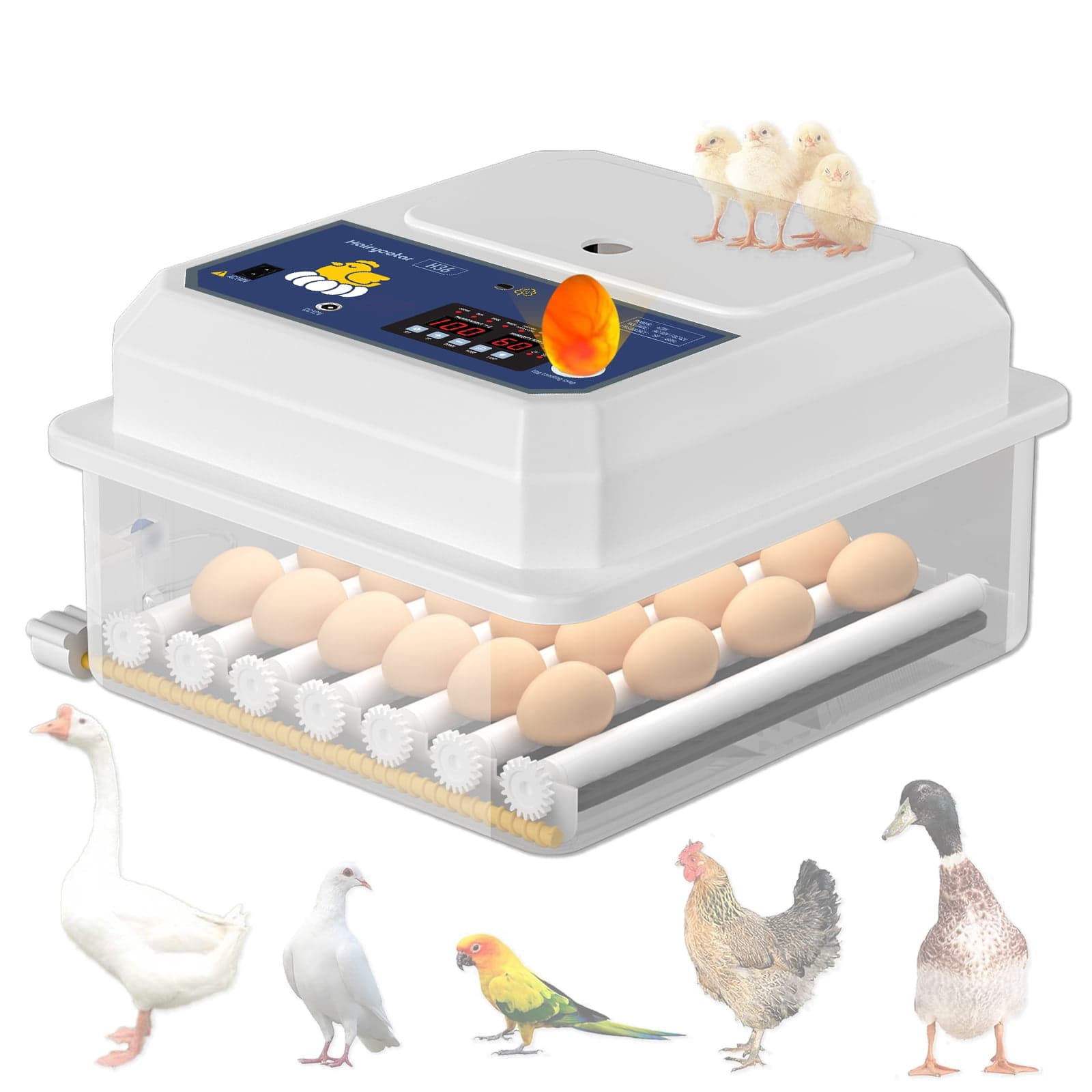 Product image 7