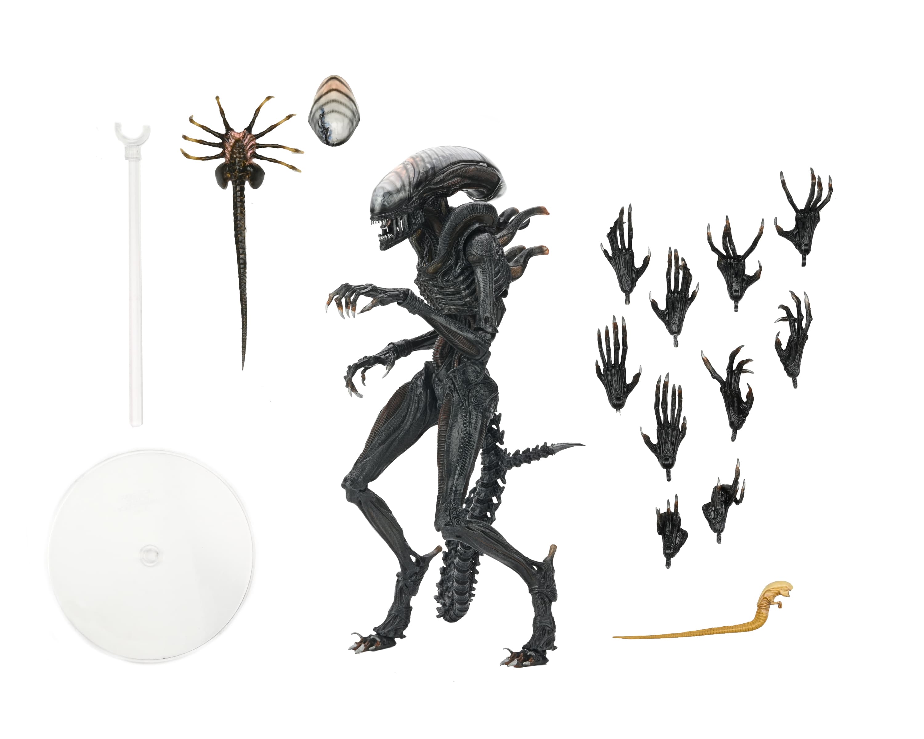 Product image 21